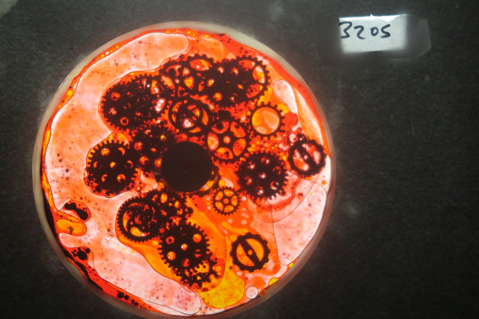 BV3205 bubble vision oil wheel